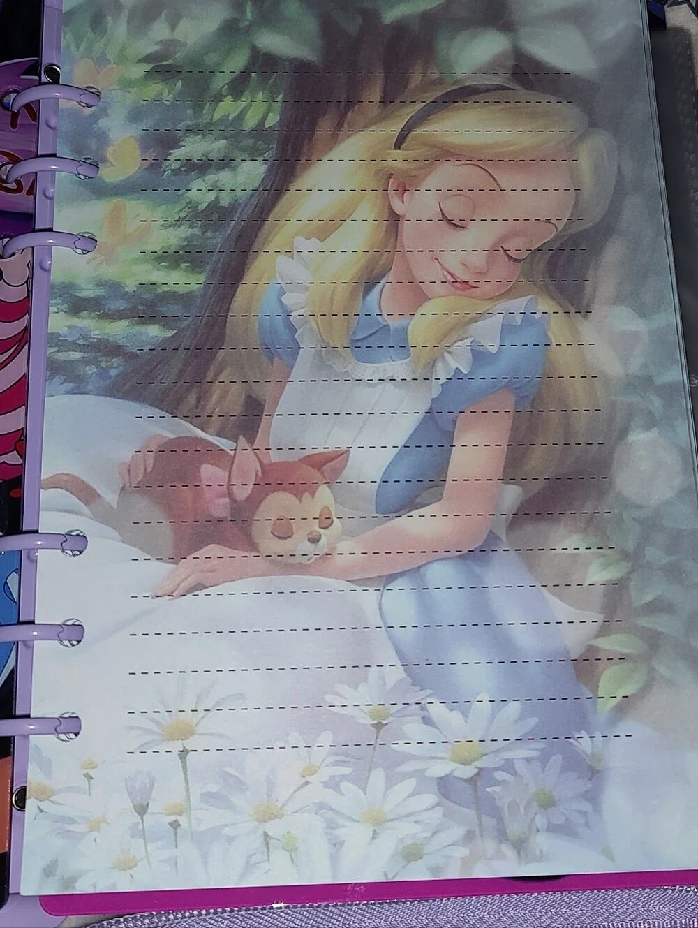 New! A5 Alice In Wonderland Acrylic Shaker Notebook
